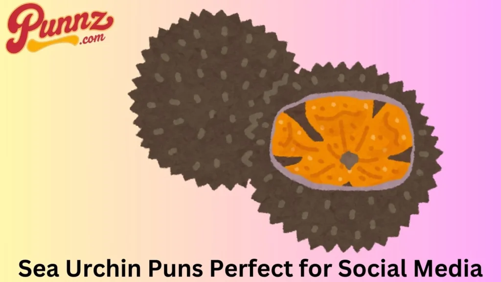 Sea urchin pun one liners