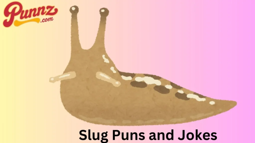 Slug Puns and Jokes