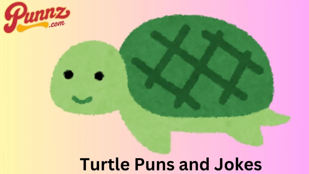 Turtle puns about love
