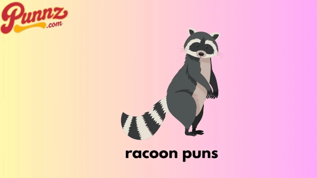 racoon puns