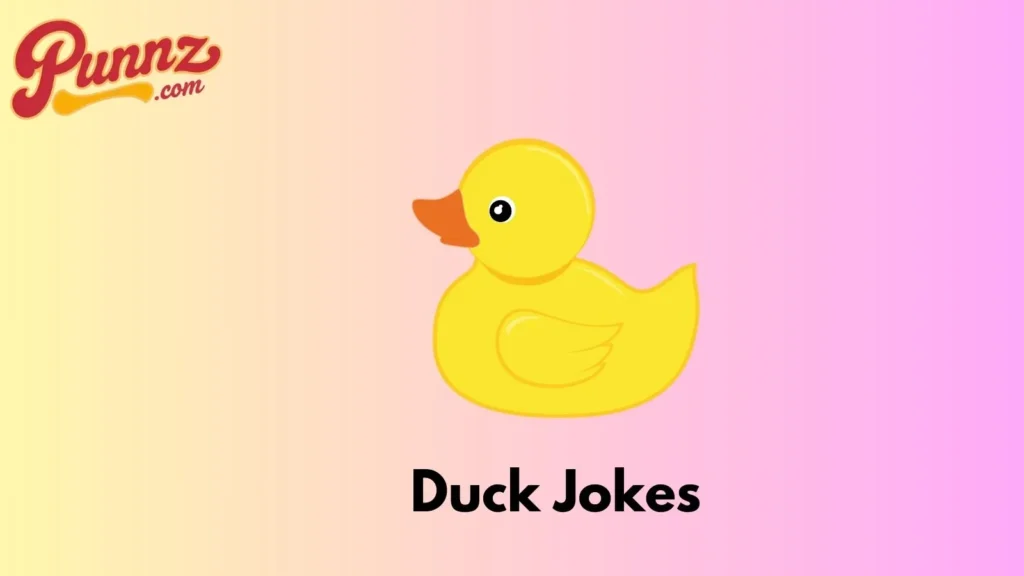 Duck Jokes Instagram