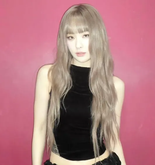 Seulgi Age A Complete Guide to the Life, Career, and Achievements of the Red Velvet Star